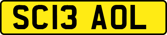 SC13AOL