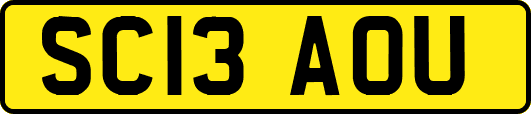 SC13AOU
