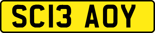 SC13AOY