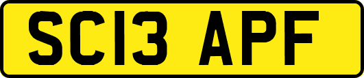 SC13APF