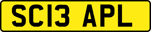 SC13APL