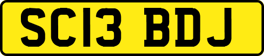 SC13BDJ