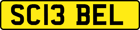 SC13BEL