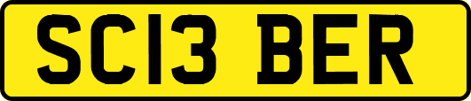 SC13BER