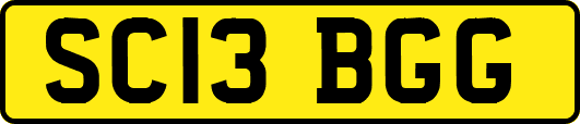 SC13BGG