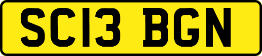 SC13BGN