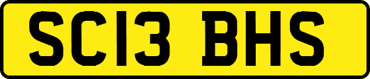 SC13BHS