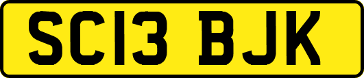 SC13BJK