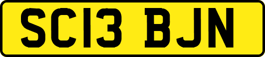 SC13BJN