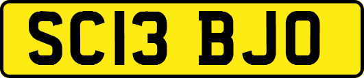 SC13BJO