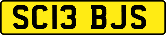 SC13BJS