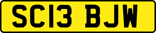 SC13BJW