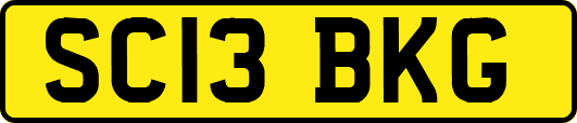 SC13BKG