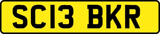 SC13BKR