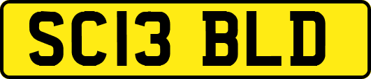 SC13BLD