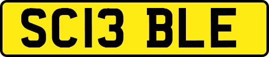 SC13BLE