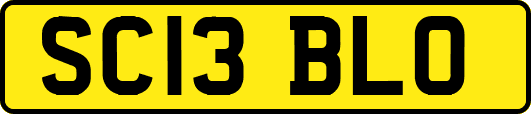 SC13BLO