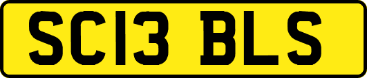SC13BLS