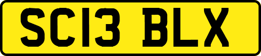 SC13BLX