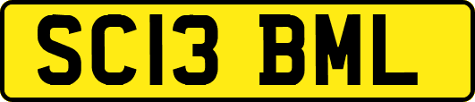 SC13BML