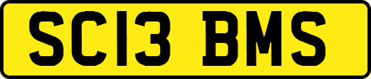SC13BMS