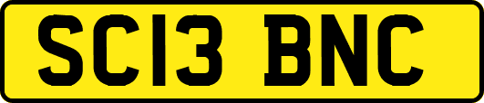 SC13BNC
