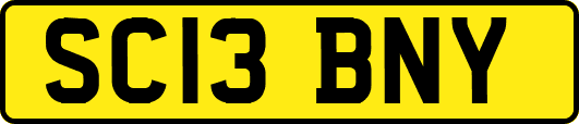 SC13BNY