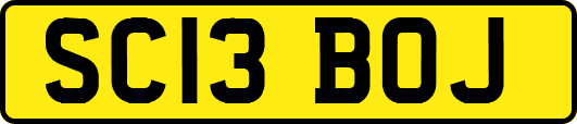 SC13BOJ