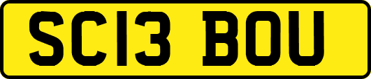 SC13BOU