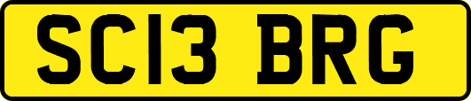 SC13BRG