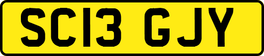 SC13GJY