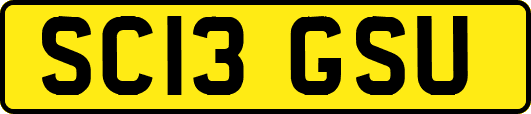 SC13GSU
