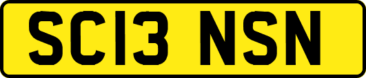 SC13NSN