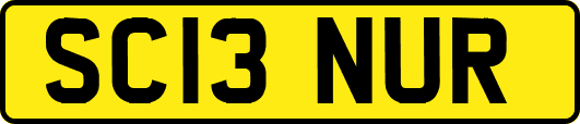 SC13NUR