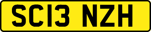 SC13NZH
