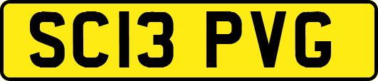 SC13PVG
