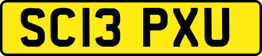 SC13PXU