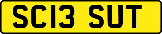 SC13SUT