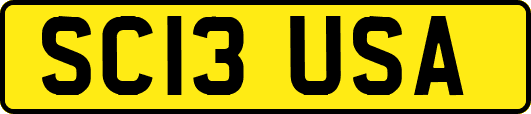 SC13USA