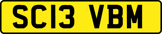 SC13VBM