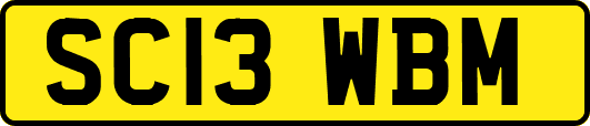 SC13WBM