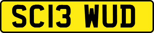 SC13WUD