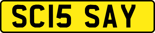 SC15SAY