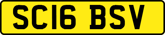 SC16BSV