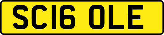 SC16OLE