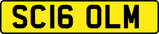SC16OLM