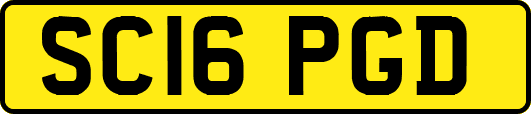 SC16PGD