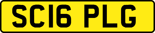 SC16PLG