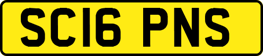 SC16PNS