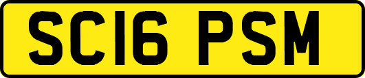 SC16PSM